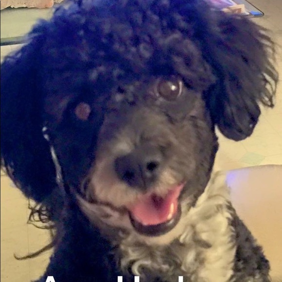 aceharley